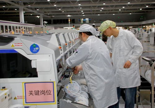 芯片荣获最高级别认证 两江新区以硬科技为引擎，驱动技术服务创新升级